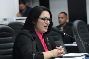 Vereadora lembra embates em 2024 e diz ser contrária à aliança do PL com MDB