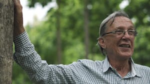 Painel do clima e COP-30