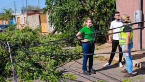 Prefeitura decreta situação de emergência após vendaval que atingiu diversos bairros em VG