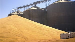 Após morte de trabalhador em silo de grãos, fazenda terá que adotar medidas de segurança