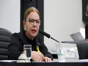 Presidente avalia punições a vereadores por xingamentos e brigas no plenário da Câmara