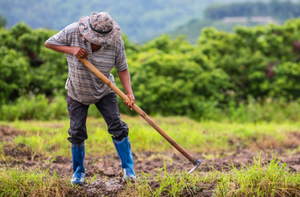 Justiça do Trabalho procura sucessores de trabalhador falecido durante processo