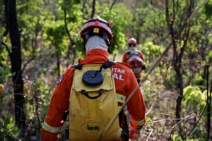 Corpo de Bombeiros combate 12 incêndios florestais neste domingo em Mato Grosso
