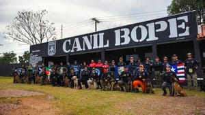 Guarda Municipal de Várzea Grande conclui curso de cães detectores de drogas do Bope