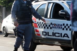 Polícia Militar prende idoso por furto e recupera 12 cabeças de gado e um cavalo