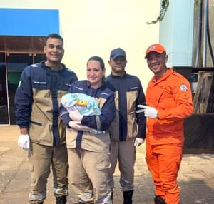 Bombeiros auxiliam gestante em trabalho de parto e bebê nasce dentro de viatura