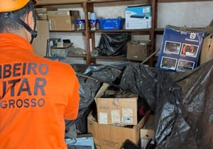 Bombeiros capturam jiboia em almoxarifado de empresa de transportes em Mato Grosso