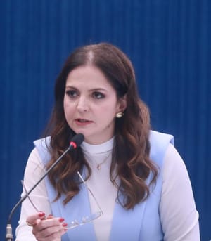 Laço Branco; homens pela não violência contra as mulheres