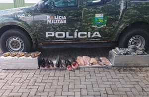 PM apreende 52 quilos de pescado irregular em feira de Várzea Grande; homem é preso
