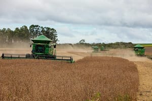 Mesmo com ajustes na safra, MT mantém liderança nacional com apoio de incentivos e crédito
