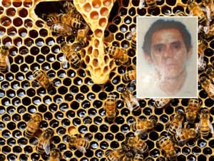 Trabalhador de 58 anos morre após ser atacado por enxame de abelhas em fazenda