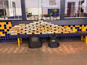 Ação policial apreende carga de 73 quilos de supermaconha avaliada em R$ 300 mil em MT