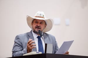 "Afronta às leis nacionais e pune produtores" diz deputado sobre moratória da soja