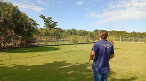 Mapa confirma caso de gripe aviária em  propriedade rural de MT e Indea ativa protocolo